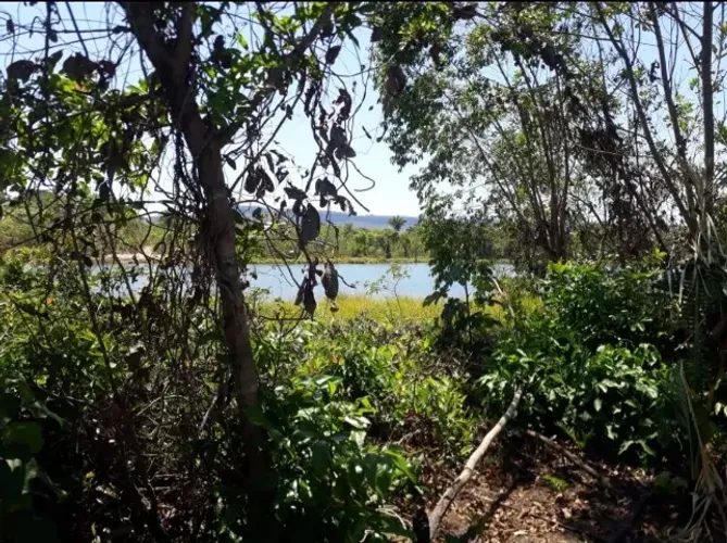 Chácara Beira do Lago com mais de 1 hectare de Área Privilegiada. Oportunidade Única.