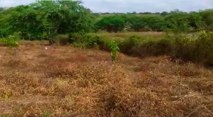 Terreno no Sítio Lamarão em São Caetano/PE à Venda