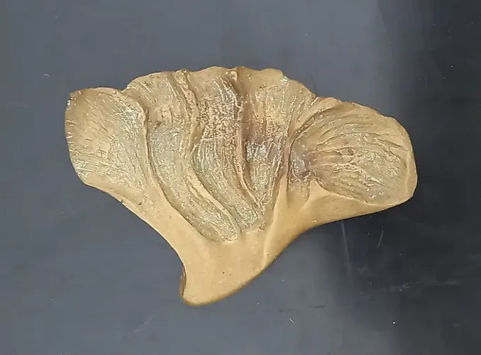 Centro de mesa assinado - bronze maciço