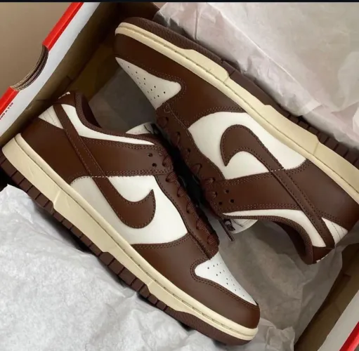 Tenis nike dunk Cacau