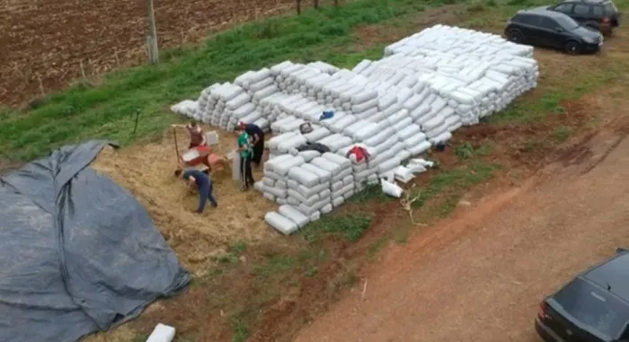 O VERAO CHEGOU E O PRECO SOBE JA JA SILO DE CAPIM BRS CAPIAÇU