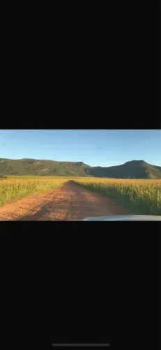 Oportunidade Fazenda Plantando região nobre
