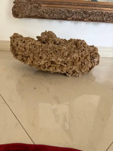 Pedra Decoração Natural - Pedra de Dragão Porosa