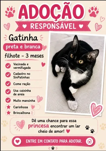 Gata filhote para adoção. 
