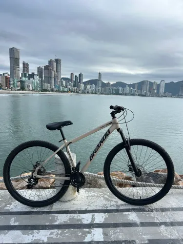 BICICLETA BRANDO ARO 29