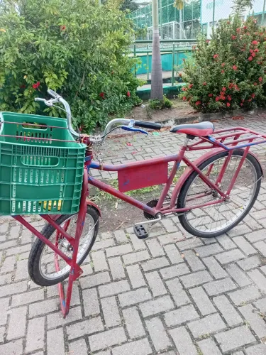 Bicicleta cargueira 