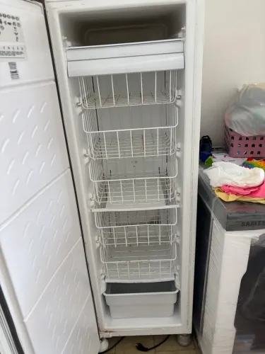 Freezer vertical