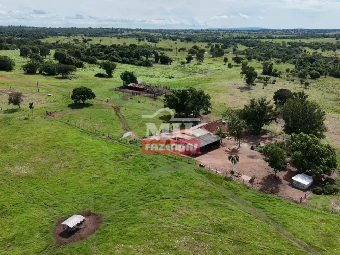 Fazenda 70 alqueires (338.8 hectares) Nova Crixas - GO