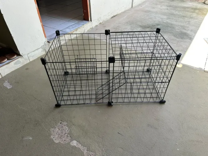 Gaiola para porquinho da Índia 