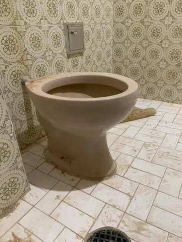 Vaso sanitário e Pia com coluna cor Rosa Antigo