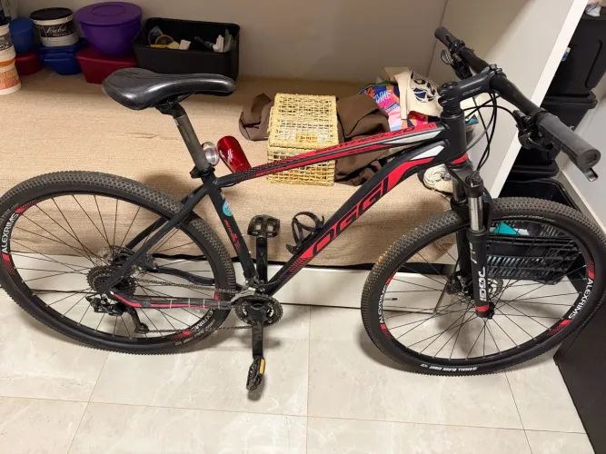 Bicicleta Oggi