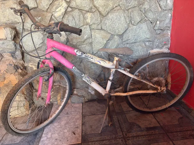 Bicicleta Ox Aro 24