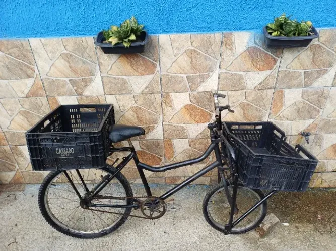 Bicicleta de Carga/Para trabalho