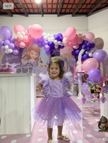 Vestido da princesa sofia