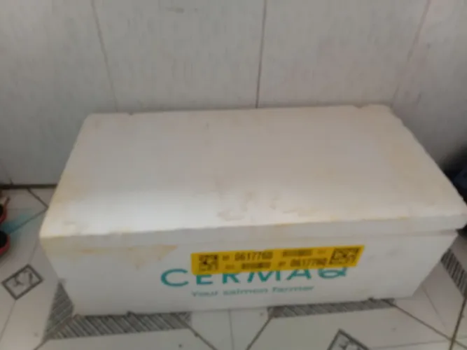 Estou vendendo essa caixa de isopor so chama no zap *86 valor ta caixa 40 reais