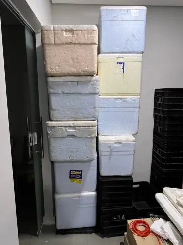 Caixas de isopor