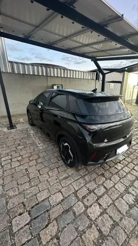 BYD Dolphin, locação 
