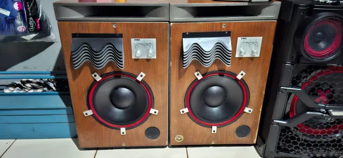 Caixas de som EMC 12POL classicas 8 ohms 250 w