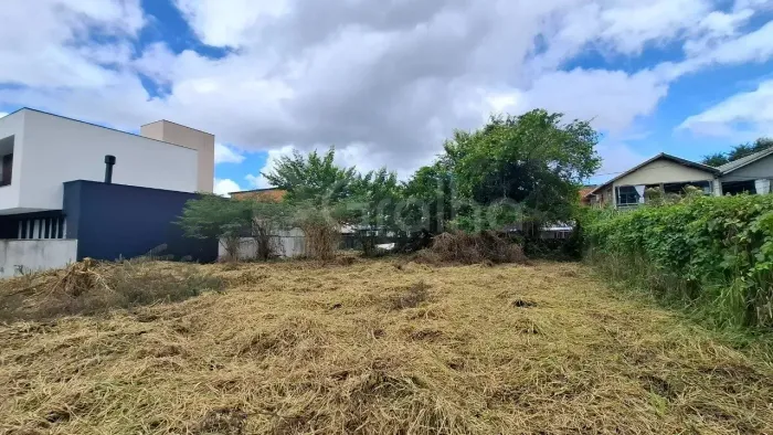 Imóvel para venda tem 573 metros quadrados em Lagoa da Conceição - Florianópolis - SC