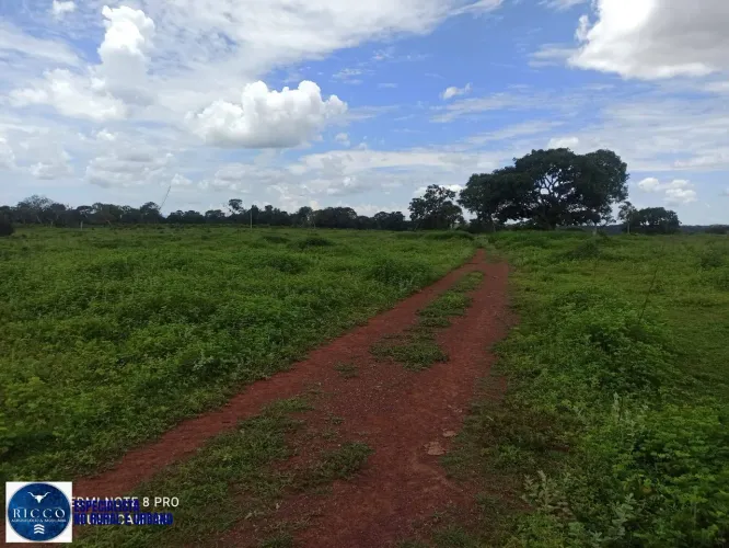 Fazenda à Venda em Amorinópolis/GO 84 Alqueires | Dupla Aptidão