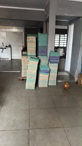 Bandejas de ovos