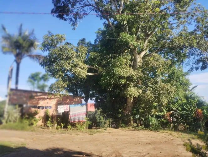 Casa no Iranduba, um pequeno pedaço do paraíso.