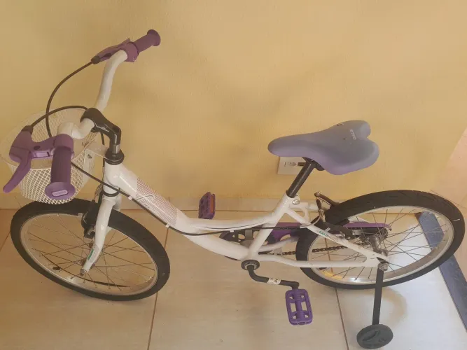 Bicicleta ceci