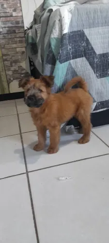 Doação  