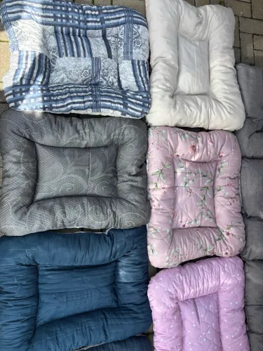 Caminha para pet