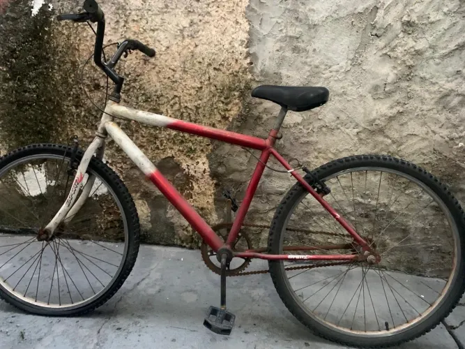 Bicicleta Samy aro 26