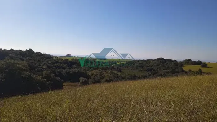 Sitio em Aguas Claras 10 hectares escriturados com açude, várzea e mata nativa