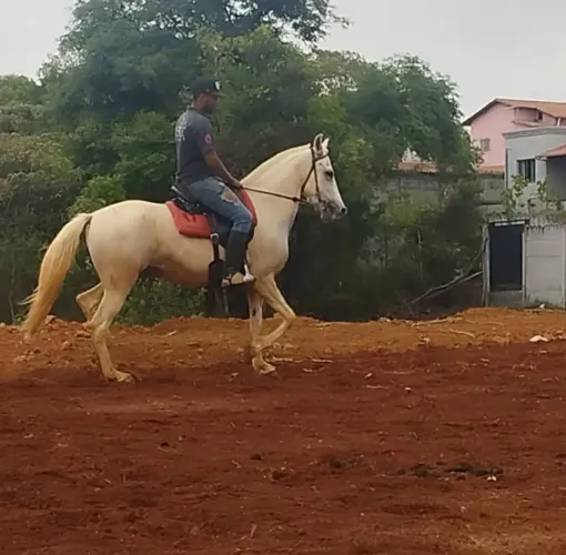 Égua, Favacho e JB d'Ogar registro definitivo 