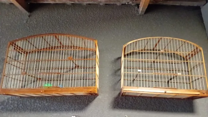 Vendo 2 gaiolas