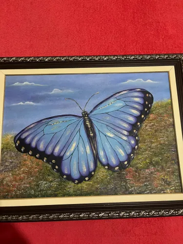 Quadro 0,65 x 085 de Borboleta 
