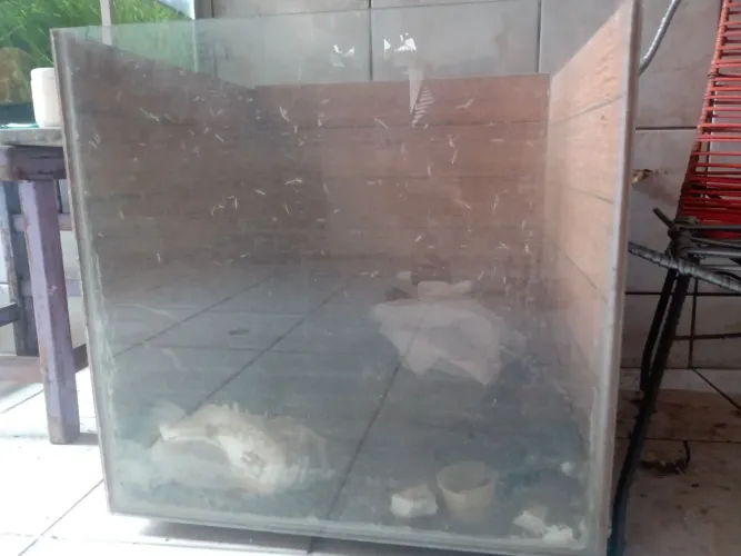 Aquapisos e aquário 