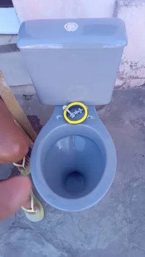 Vaso sanitário