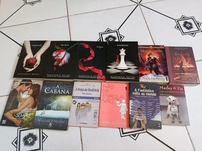 Vendo livros