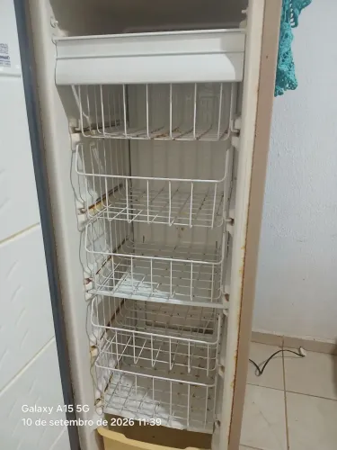 Freezer vertical