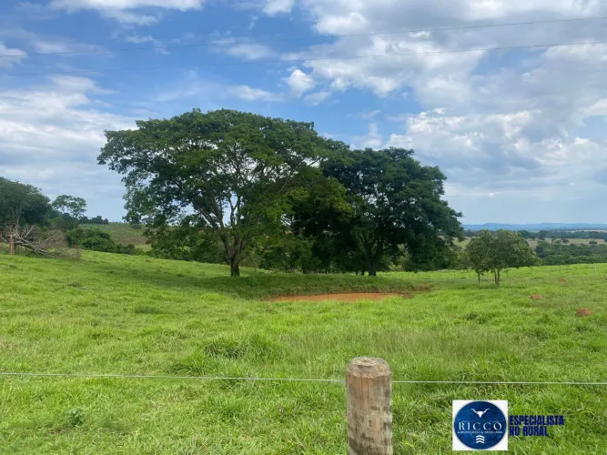 Chácara à Venda em Taquaral de Goiás | 6 Alqueires | Dupla Aptidão