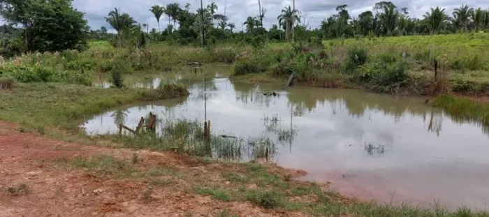 Sitio a venda prox. a porto velho