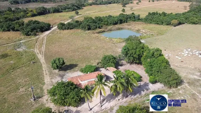 Fazenda à Venda em Itapirapuã  GO | 75 Alqueires | Pecuária | Água Farta