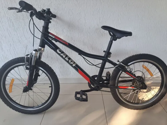 Caloi Wild SX