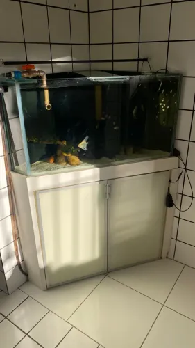 AQUÁRIO 500 LITROS DE CANTO 