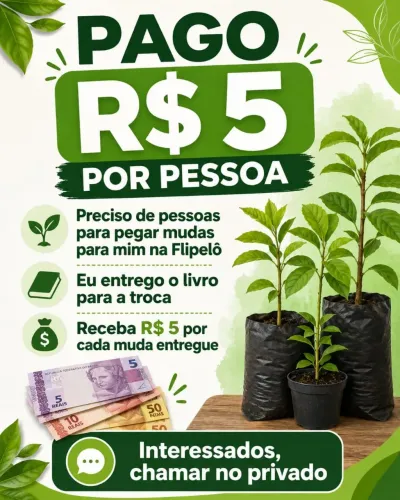 Troca de mudas