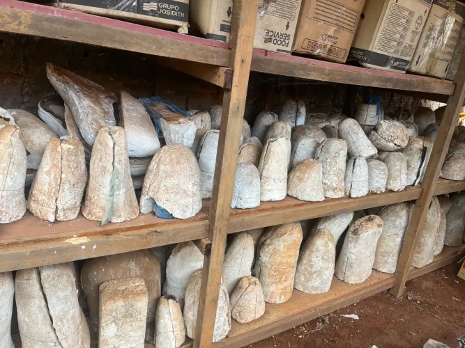 Vende se Fábrica de Imagens