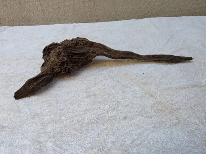 Tronco Natural para Aquario 33 cm Hardscape Aquapaisagismo