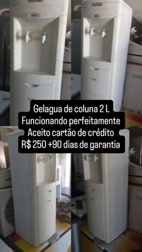 Gelagua de coluna