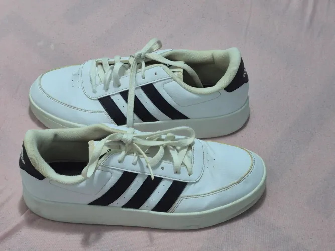 Tenis