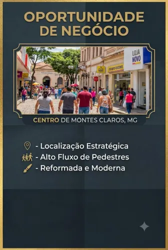 Repasse de negócio: loja em pleno funcionamento.