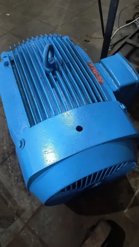 Motor elétrico Trifásico Weg